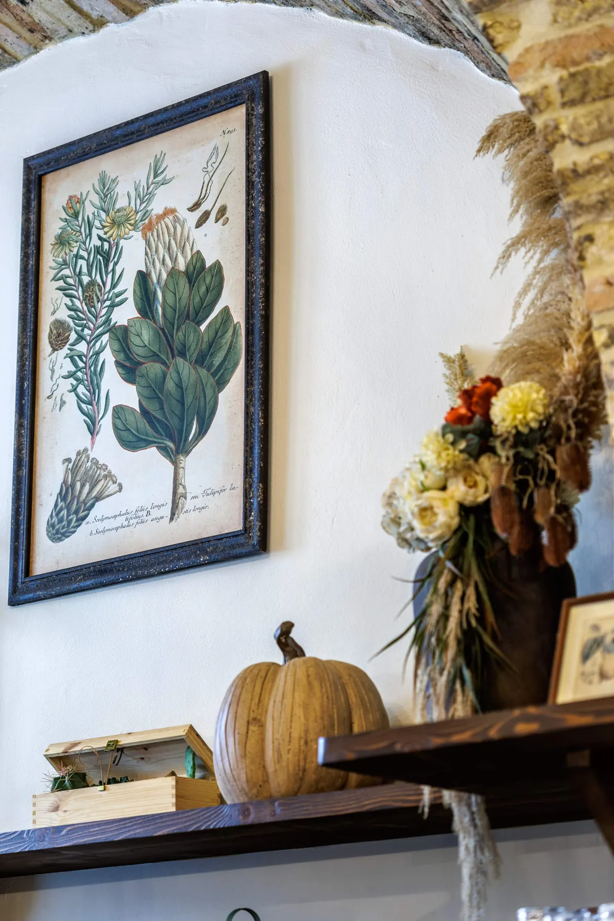 Stampa botanica e decorazioni